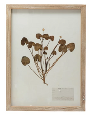 Framed Wall Decor with Botanicals, 6 Styles