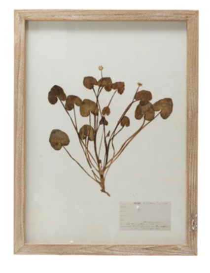 Framed Wall Decor with Botanicals, 6 Styles
