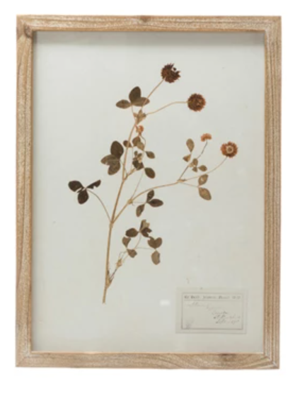 Framed Wall Decor with Botanicals, 6 Styles