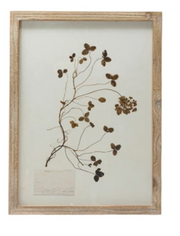 Framed Wall Decor with Botanicals, 6 Styles
