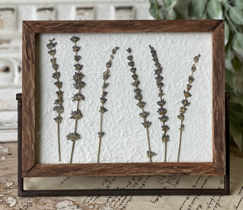 Meadow Glade Gatherings, 3 Styles