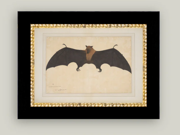 Spooky Bat, Black w/Gold Dot Frame, 6x4