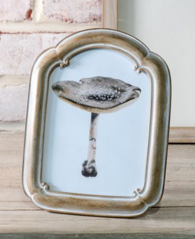 Arch Photo Frame, 5x7