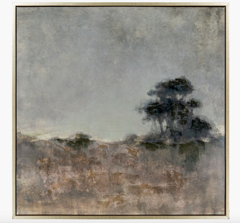 Floresta Framed Art, 36x36