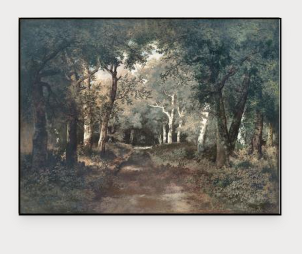 Through the Forest I Framed Art, 40x30