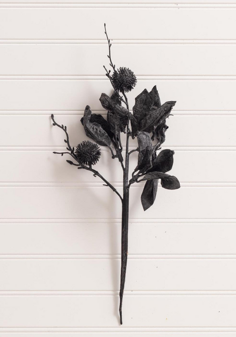 Halloween Black Thistle and Leaves