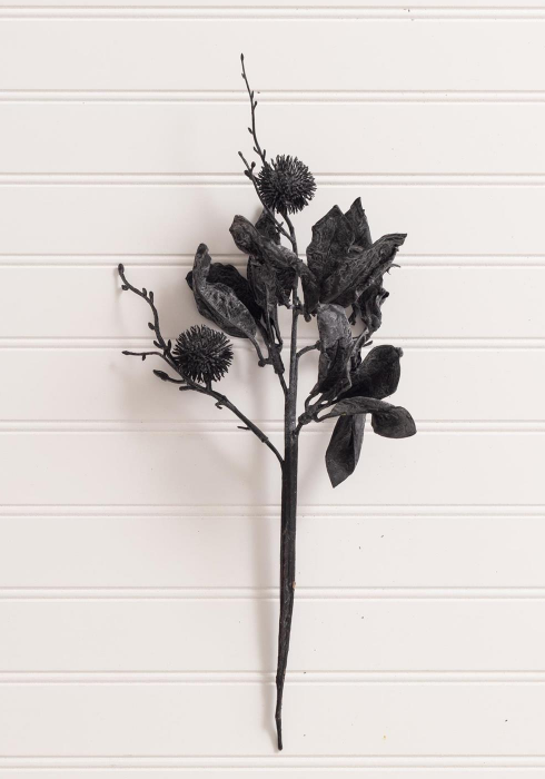 Halloween Black Thistle and Leaves