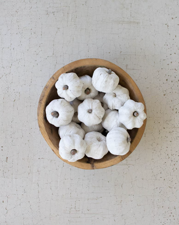 Dried Miniature Faux Pumpkins, White, Set of 15