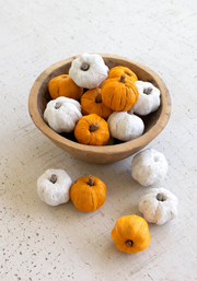 Dried Miniature Faux Pumpkins, White, Set of 15