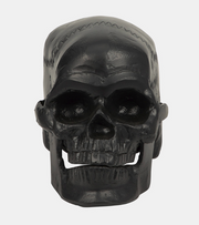 Metal Skull Decor