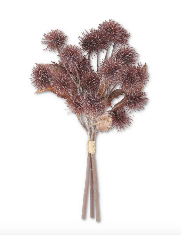 Burgundy Sycamore Fruit Bundle, 3 Stems, 15"