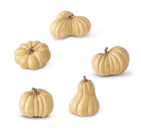 Goldenrod Pumpkins, Assorted