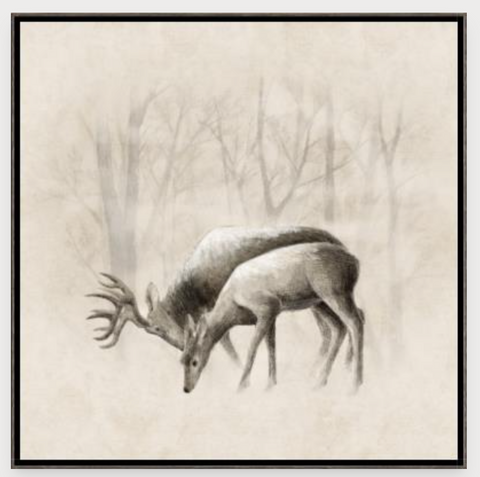 Misty Woods I Art, Grey, 24 x 24