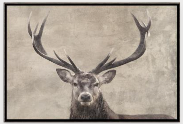 Rustic Country Animals I Art, Grey Wood, 30 x 20