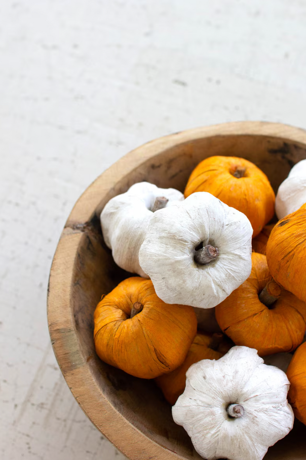 Dried Miniature Faux Pumpkins, White, Set of 15