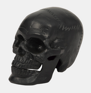 Metal Skull Decor