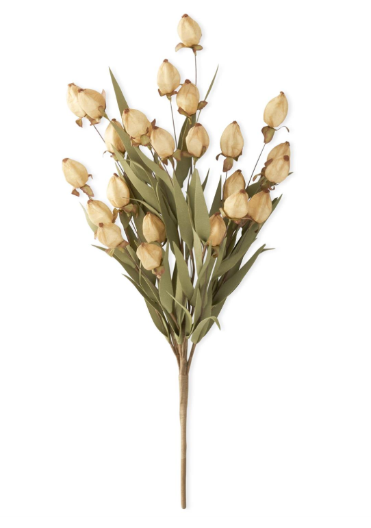 Cream Chinese Lantern Bush, 22"