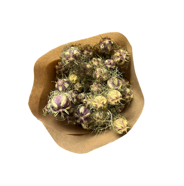 Nigella Dried Floral