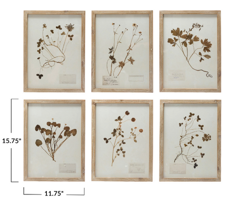 Framed Wall Decor with Botanicals, 6 Various Styles