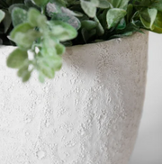 White Ceramic Planter, two sizes